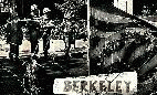 Berkely demonstrations